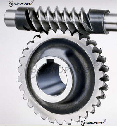 worm gear