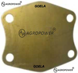 WATER PUMP PLATE BRASS 00940863