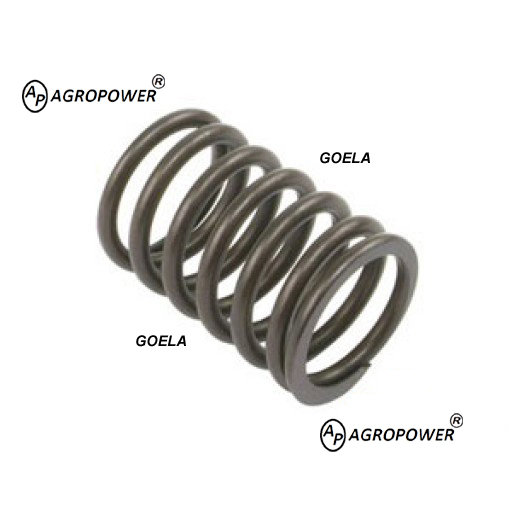 VALVE SPRING 0780006