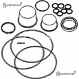 SEAL KIT-ORBITROL UNIT 1810503M92