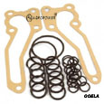 O RING KIT 1810684M92