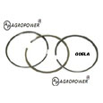 T/C PISTON RING SET 3641316M91