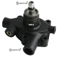 WATER PUMP WITH PULLEY 41312511