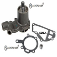 WATER PUMP WITH PULLEY 41313218