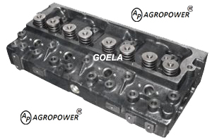 CYLINDER HEAD W/GUIDE ZZ80015