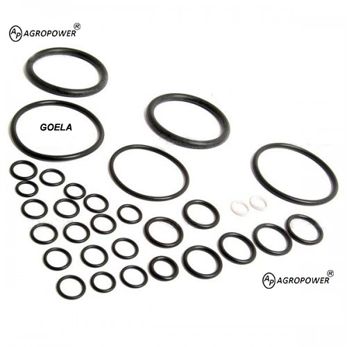 O RING KIT 1810467M91