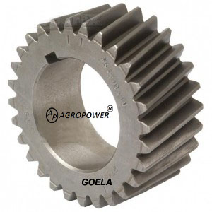 CRANKSHAFT GEAR 3638105M1