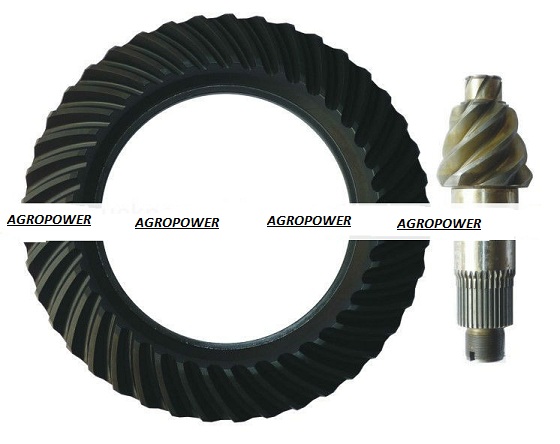 Rear Differential Gear