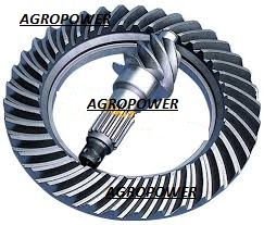 crown pinion gear