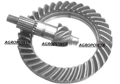 Crown Wheel and Pinion Gear